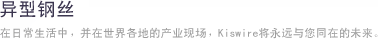 异型钢丝