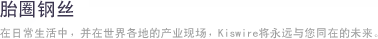 胎圈钢丝