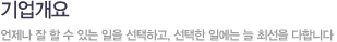 기업개요