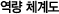 역량체계도